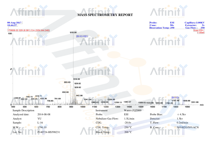 CCL22 Antibody | Affinity Biosciences